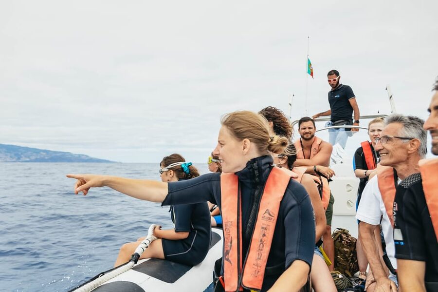 From Funchal: Whales and Dolphin Adventure Tour - What to wear and what to expect from the weather