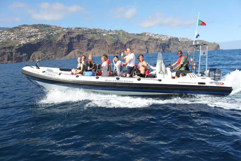 From Funchal: Whales and Dolphin Adventure Tour - What the two-hour itinerary feels like
