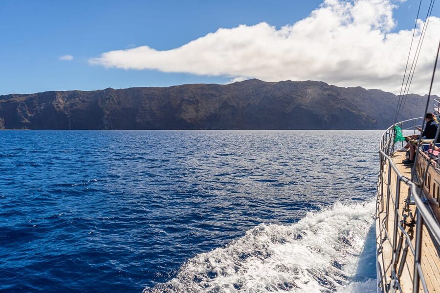 From Funchal: Wooden Boat Excursion to Desertas Island - Marine life is possible, not promised