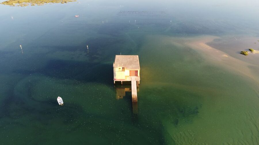 From Fuzeta: 2-Hour Southeast Ria Formosa Boat Trip - How good is the guiding?