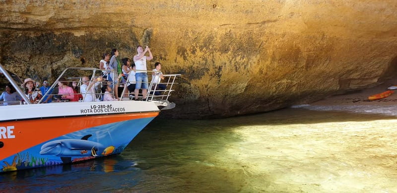 From Lagos: Benagil Caves Catamaran Cruise - Key things to know before you book