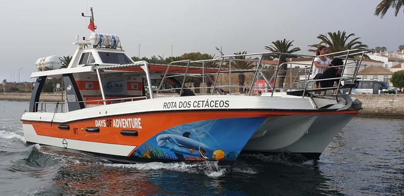 From Lagos: Benagil Caves Catamaran Cruise - How the timing affects the experience