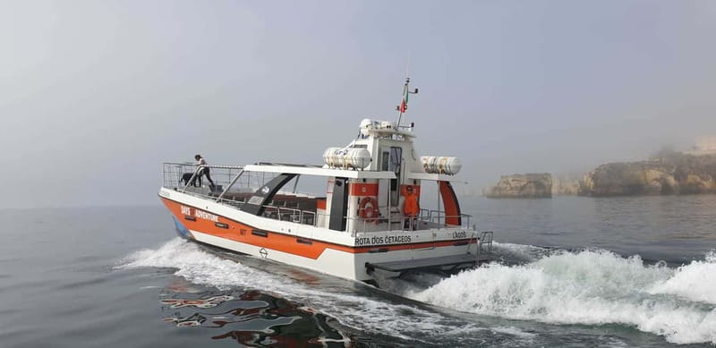 From Lagos: Benagil Caves Catamaran Cruise - Who will enjoy this cruise most?