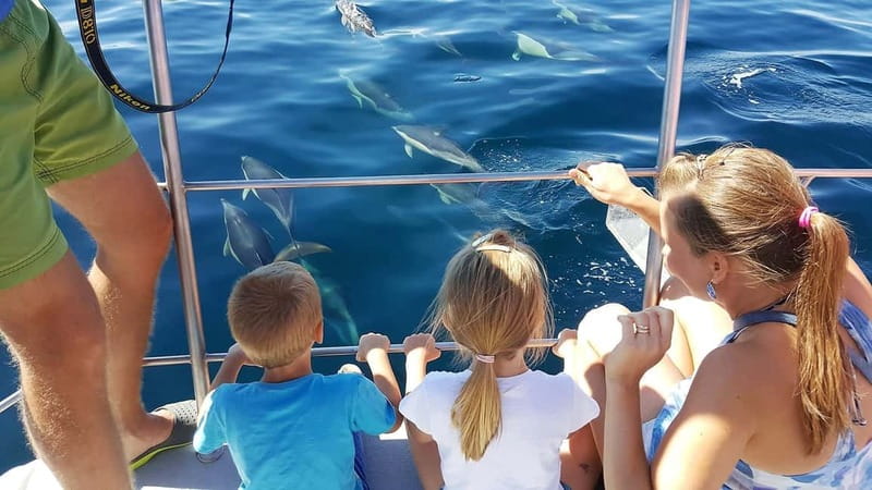 From Lagos: Dolphin Watching Catamaran Cruise - Searching for Dolphins Near Lagos