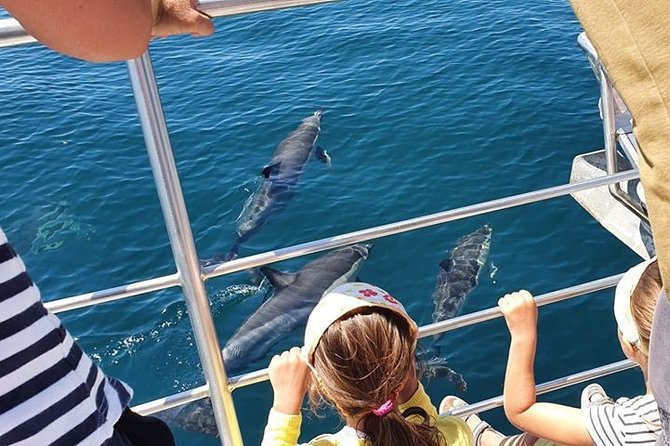 From Lagos: Dolphin Watching Cruise on a Catamaran - Leaving Marina de Lagos for the Atlantic