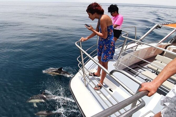 From Lagos: Dolphin Watching Cruise on a Catamaran - The ride back along the Algarve coast