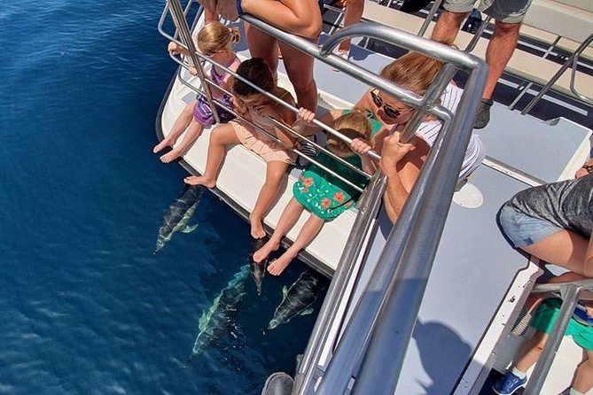 From Lagos: Dolphin Watching Cruise on a Catamaran - What $48.39 gets you