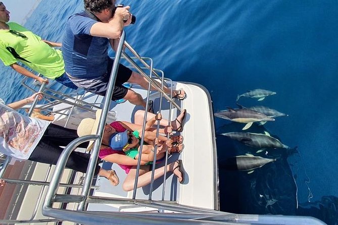 From Lagos: Dolphin Watching Cruise on a Catamaran - Timing, comfort, and practical details
