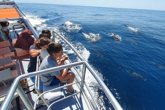 From Lagos: Dolphin Watching Cruise on a Catamaran - Cancellations and changing sea conditions