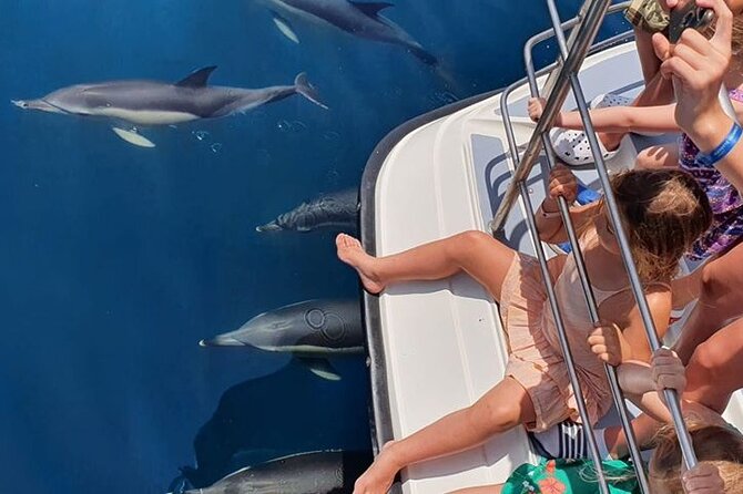 From Lagos: Dolphin Watching Cruise on a Catamaran - Who will enjoy this cruise most