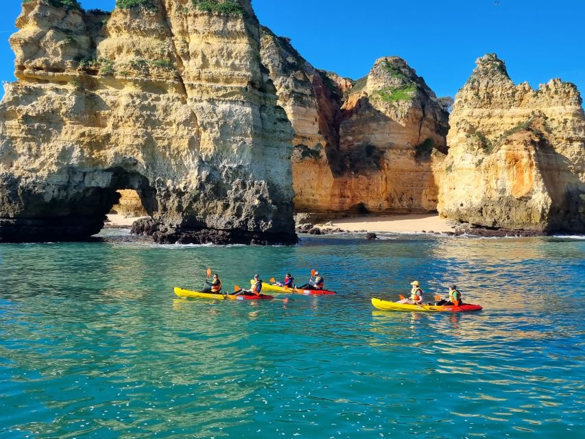 From Lagos: Kayak Experience in Ponta da Piedade - Key points to know before booking