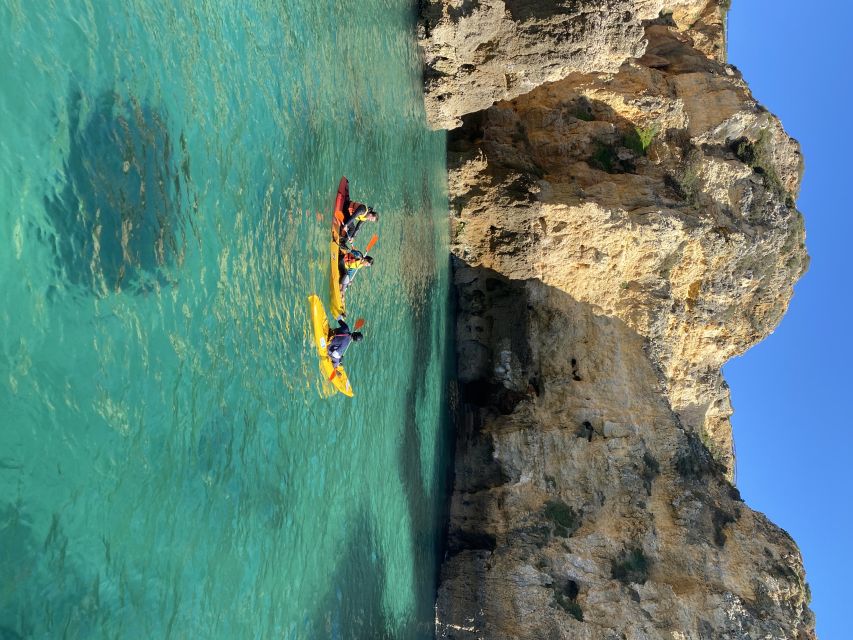 From Lagos: Kayak Experience in Ponta da Piedade - Who should book this Ponta da Piedade outing?