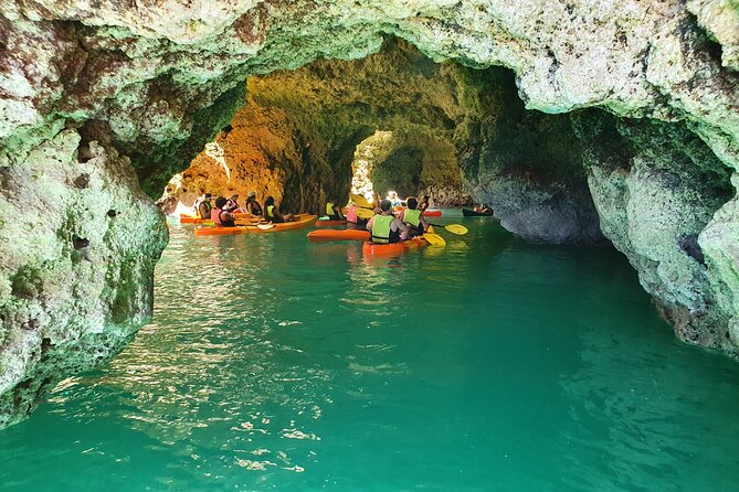 From Lagos: Kayak Tour of Ponta da Piedade Caves on Catamaran - Who will enjoy this Lagos kayak tour