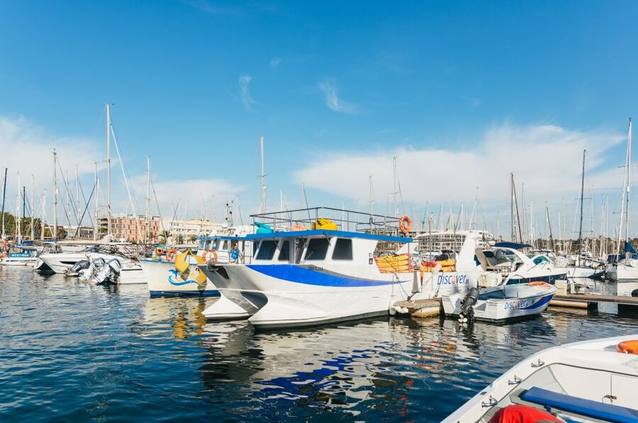 From Lagos: Kayaking and Boat Cave Explorer Tour - Should you book the Ponta da Piedade kayak tour?