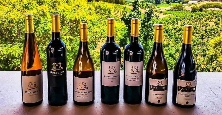 From Lagos: Small-Group 4-Hour Wine Tasting Tour - The 30-minute ride inland from Lagos
