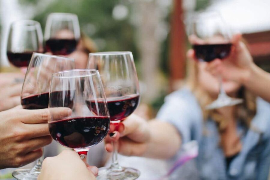 From Lagos: Small-Group 4-Hour Wine Tasting Tour - A local winery for two and a half hours