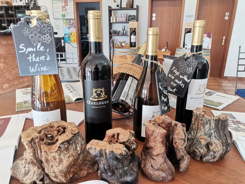 From Lagos: Small-Group 4-Hour Wine Tasting Tour - Who will enjoy this four-hour outing