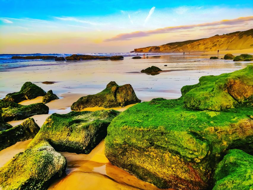 From Lagos: Wild and Wonderful West Coast Full-Day Tour - Price, flexibility, and who gets the best value