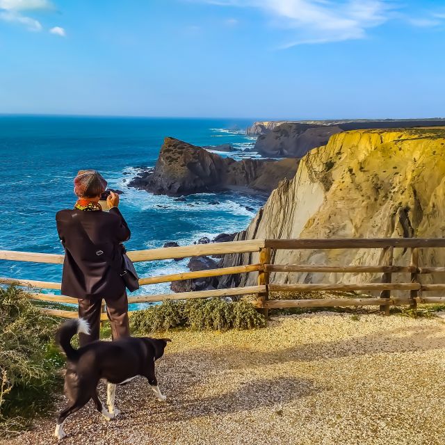 From Lagos: Wild and Wonderful West Coast Full-Day Tour - The minivan, group size, and guide quality