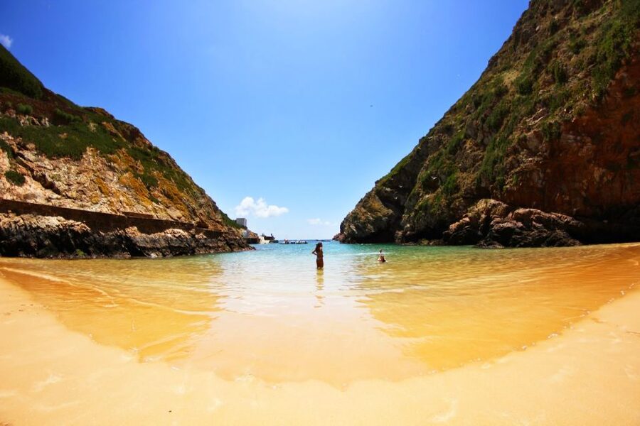 From Lisbon: Berlenga Grande Sightseeing Tour - Starting in Lisbon at 8:00 a.m.