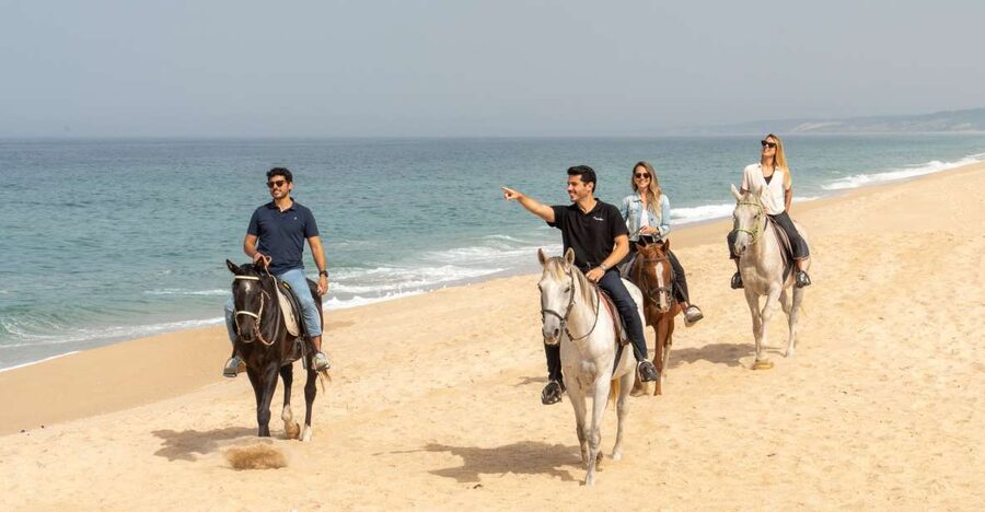 From Lisbon: Comporta and Setúbal Trip with Horseback Riding - Why this half-day trip feels much bigger