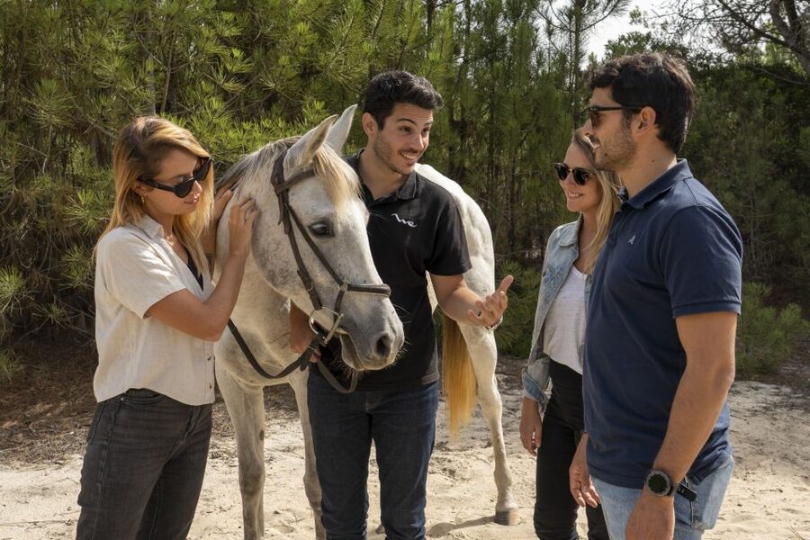 From Lisbon: Comporta and Setúbal Trip with Horseback Riding - Crossing the Sado Estuary toward Troia