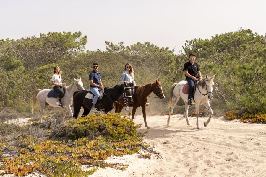 From Lisbon: Comporta and Setúbal Trip with Horseback Riding - Guides, group size, and the human side of the day