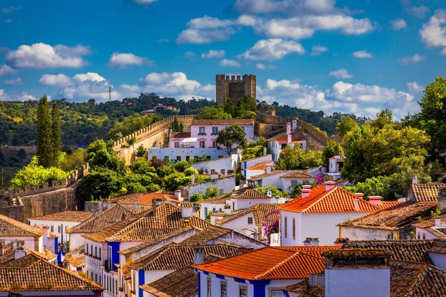 From Lisbon: Day Trip to Porto, Óbidos, and Nazaré - Transport, group rhythm, and comfort