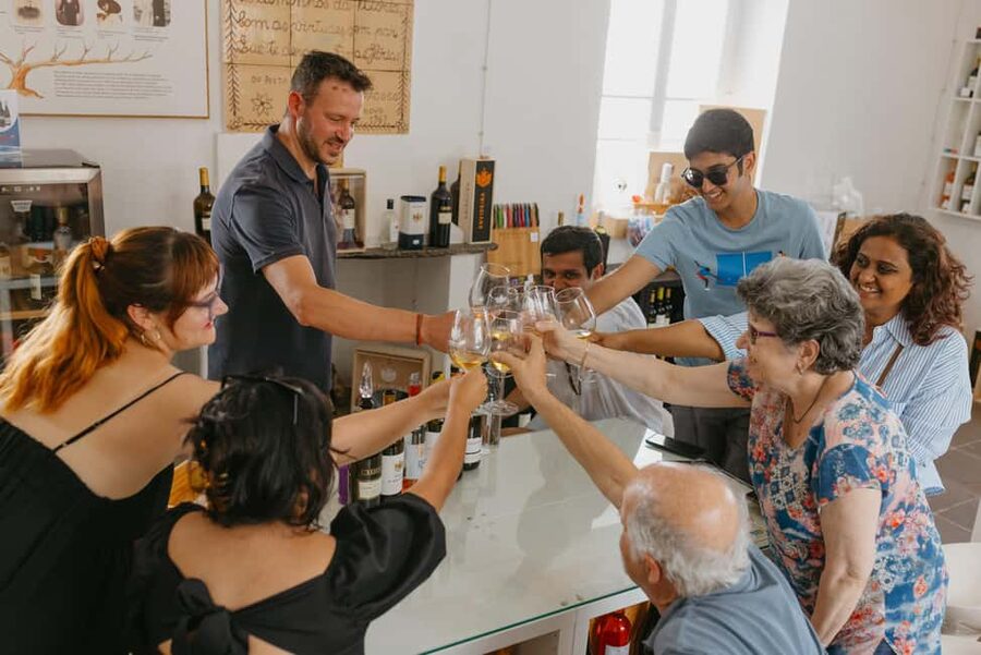 From Lisbon: Évora and Monsaraz Day Tour with Wine Tasting - Timing, pace, and the small-group tradeoff