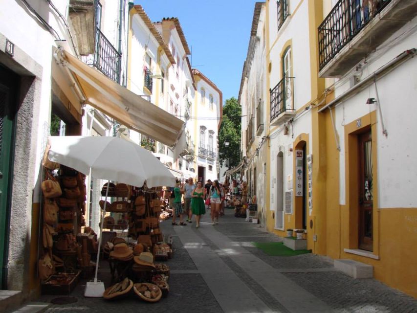 From Lisbon: Évora Wine & Heritage Tour - Who should book this Évora day trip?