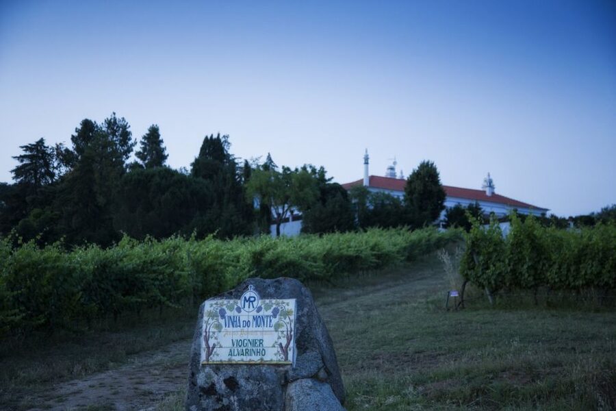 From Lisbon: Évora Wine & Heritage Tour - Is the $100 price fair?