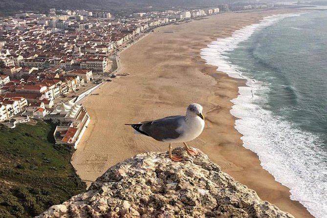 From Lisbon: Fatima Batalha Nazare & Obidos Small Group Day Trip - Batalha Monastery and the story of Aljubarrota