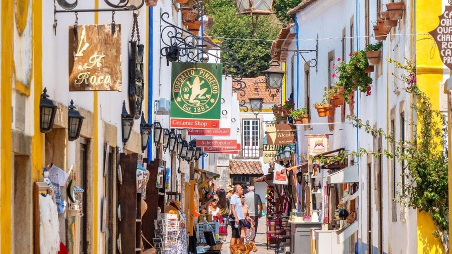 From Lisbon: Fátima, Nazaré, Batalha, and Óbidos Guided Tour - Who should book this day trip