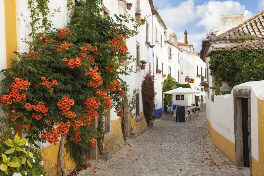 From Lisbon: Fátima, Óbidos Medieval, Nazaré Atlantic Coast - Who should choose this tour?