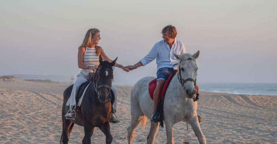 From Lisbon: Horseback Riding on Comporta Beach - Key points at a glance