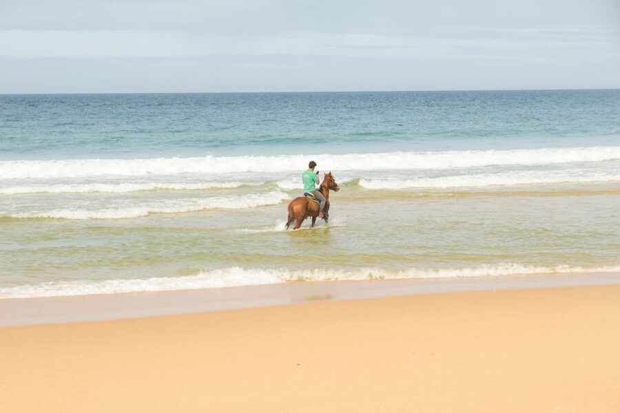 From Lisbon: Horseback Riding on Comporta Beach - From Lisbon to Comporta’s Atlantic edge
