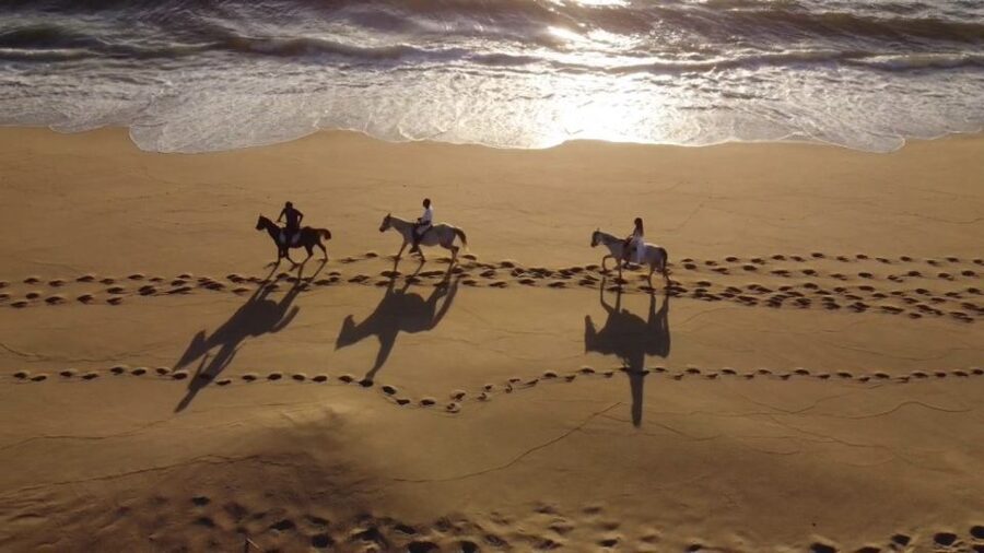 From Lisbon: Horseback Riding on Comporta Beach - Crossing the Atlantic forest and dunes