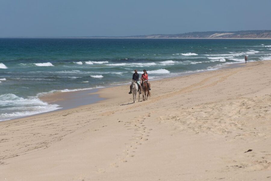 From Lisbon: Horseback Riding on Comporta Beach - Photos, video, and what to bring