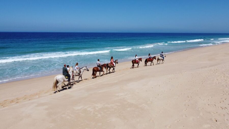 From Lisbon: Horseback Riding on Comporta Beach - The price and what you receive