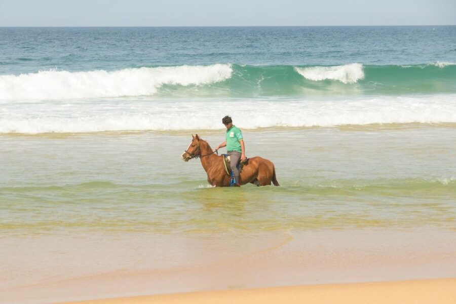 From Lisbon: Horseback Riding on Comporta Beach - Meeting the horses before the ride