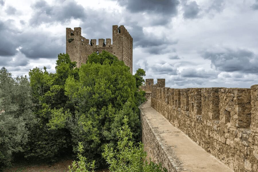 From Lisbon: Nazare Big Waves and Óbidos Guide Day Trip - How much time will you really have in Óbidos?