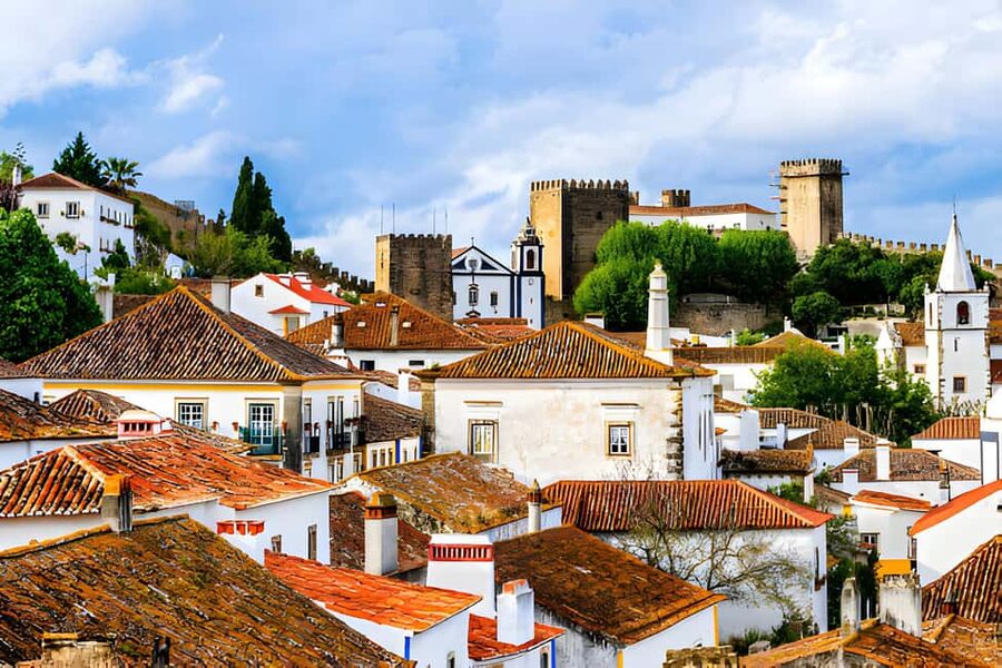 From Lisbon: Obidos, Nazaré and Fátima Small Group Tour - The air-conditioned van from Lisbon