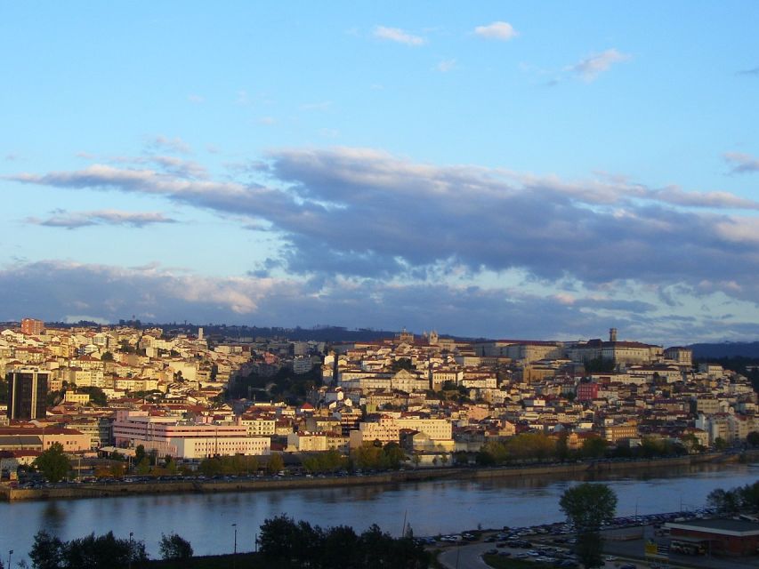 From Lisbon: Private Transfer to Porto with City Stops - The vehicle and the human side of the day