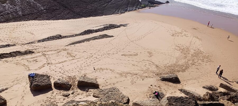 From Lisbon: Sintra and Portuguese Coast Private Day Tour - Cabo da Roca and the Atlantic coast
