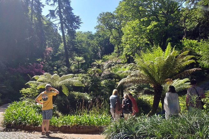 From Lisbon: Sintra's Historical and Natural Gems - Pena Palace without the crowded interior