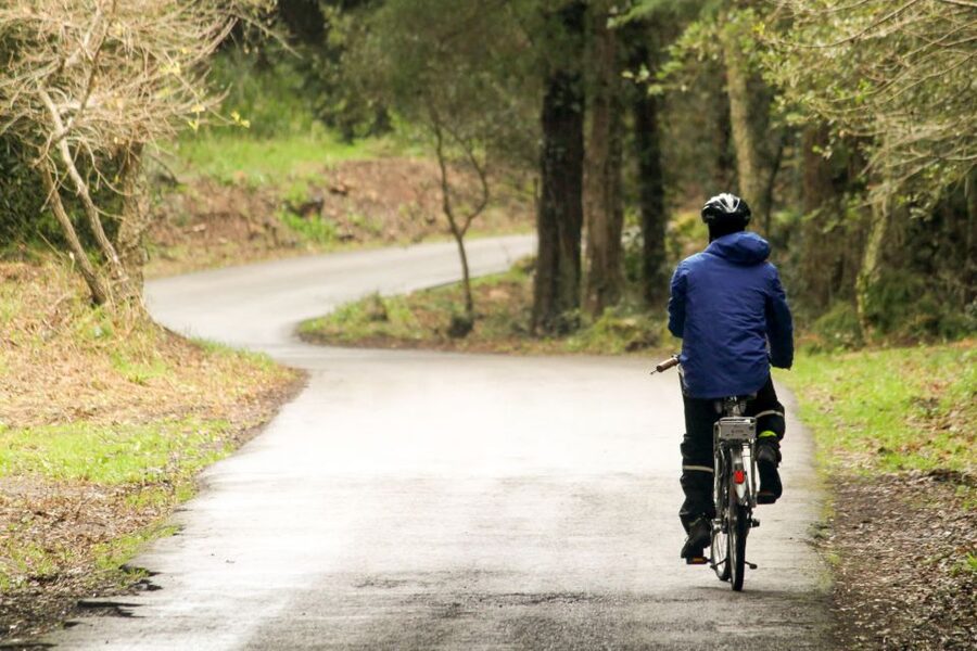 From Lisbon: Sintra to Cascais Full-Day Guided E-Bike Tour - What the $94 price really includes