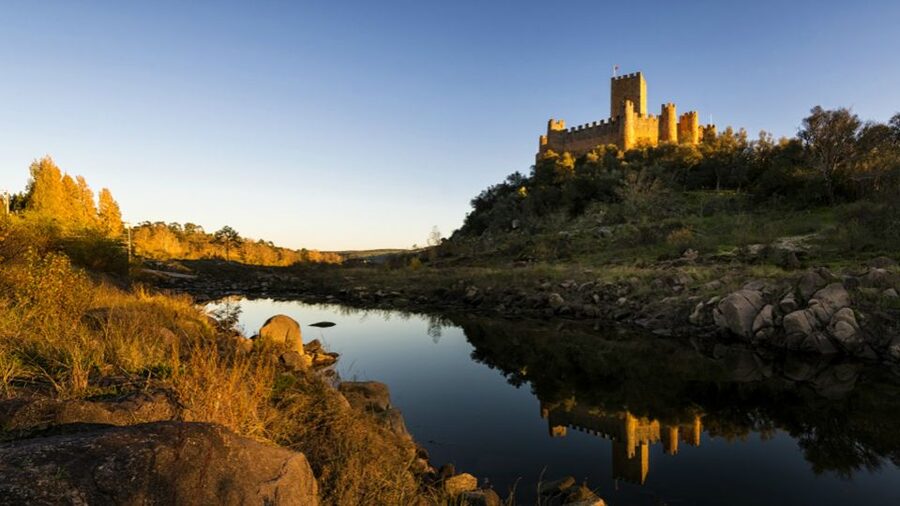 From Lisbon: Tomar, Christ Convent & Almourol Castle Tour - What the $94 price includes