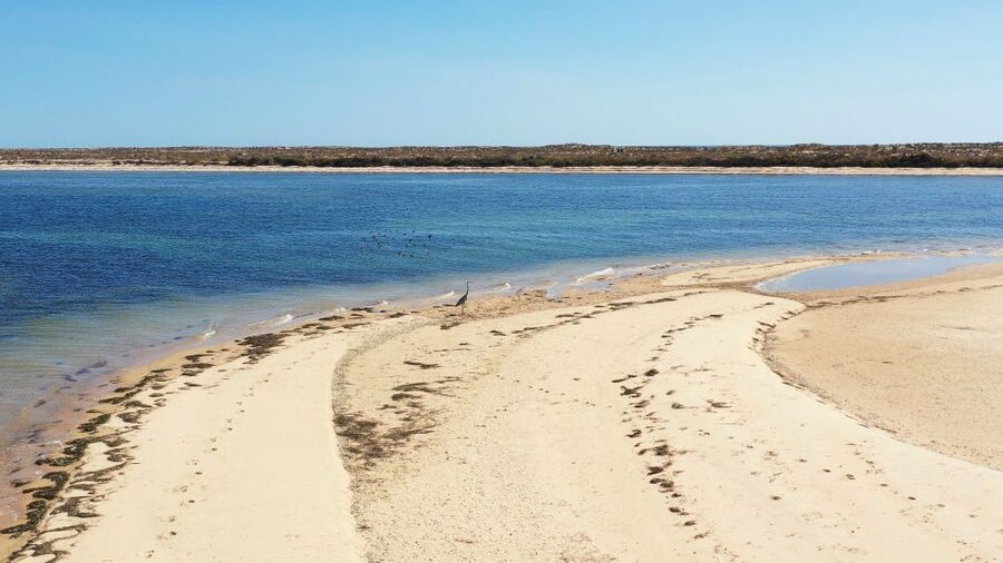 From Olhão: Ria Formosa 3-Island Full-Day Tour - Farol and its lighthouse setting