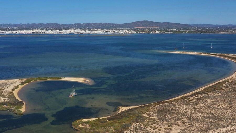 From Olhão: Ria Formosa 3-Island Full-Day Tour - Is $45 good value?