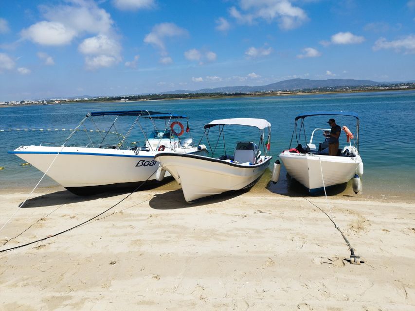 From Olhão: Ria Formosa 3-Island Full-Day Tour - Who should book this tour?